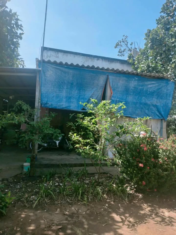 Đất nền 1100m² tại Tăng Hòa, Gò Công Đông giá 450 triệu - Đường xe hơi gần kề!