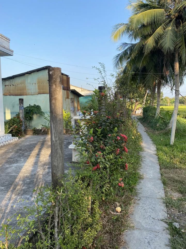 Nhà vườn Gò Công Tây 456m² giá 850 triệu - Cơ hội đầu tư tuyệt vời!