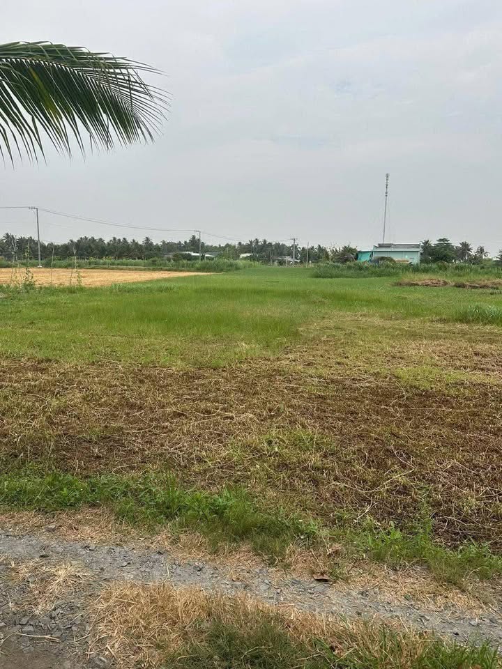 Đất nông nghiệp 1995m² tại ấp Thạnh Phú, Gò Công Tây - Giá chỉ 850 triệu!