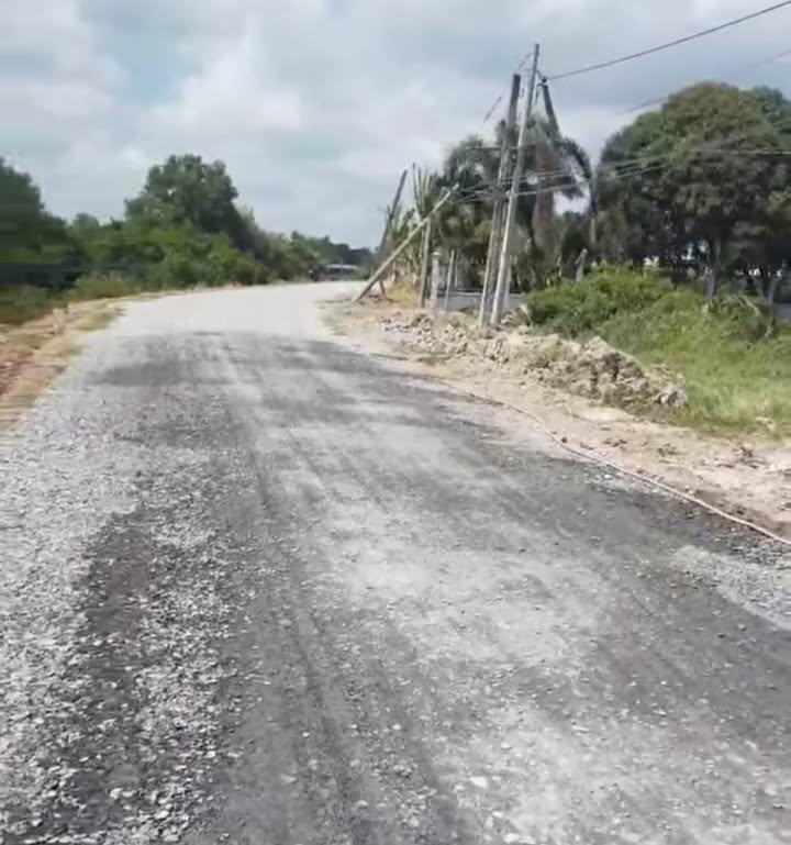 Đất thổ cư 1575m² tại Thuận Mỹ, Châu Thành, Long An - Giá 4,5 tỷ, sẵn sàng tách thửa!