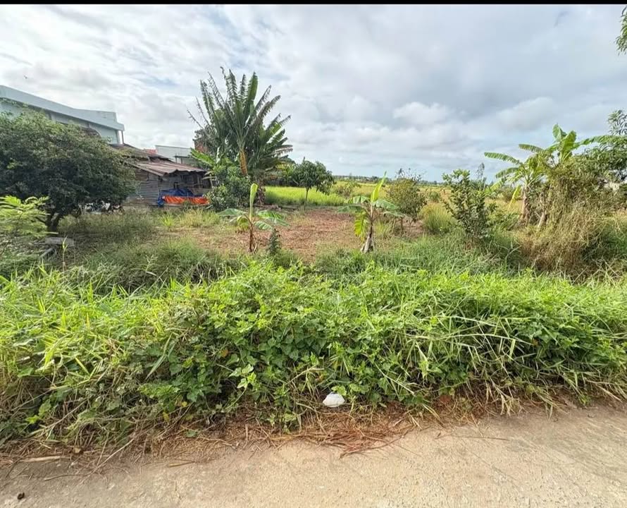 Đất nền 511,2m² Ấp Giồng Keo, Tiền Giang chỉ 200 triệu - Cơ hội đầu tư hấp dẫn!