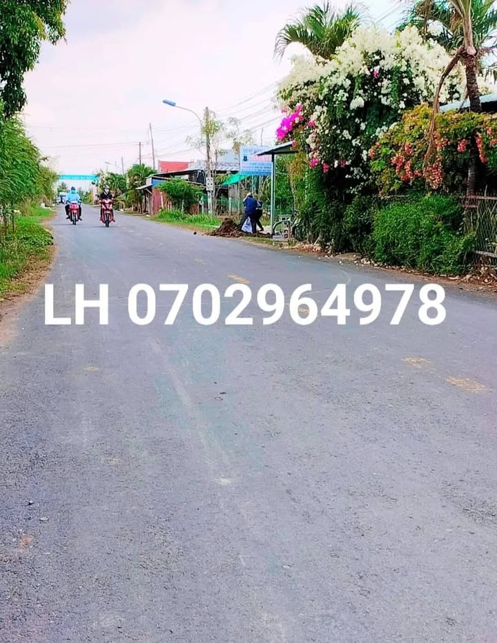 Đất nền mặt tiền đường HL 07, Tân Thành, Cái Bè 225m² giá 1.25 tỷ - Đầu tư sinh lời ngay!