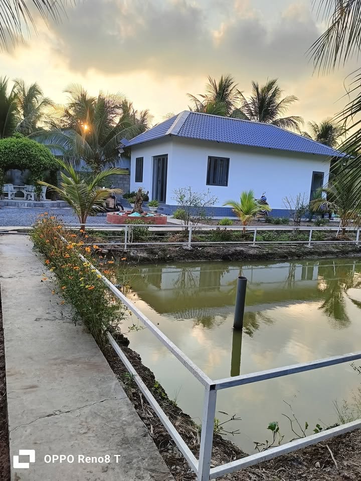 Đất thổ cư 1200m² tại Bình Ninh, Chợ Gạo - Giá chỉ 2.35 tỷ, Đường thông thoáng!