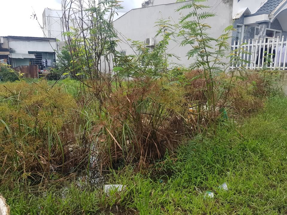 Đất nền 1000m² tại đường Nguyễn Công Bình, TP. Mỹ Tho - Cơ hội đầu tư vàng!