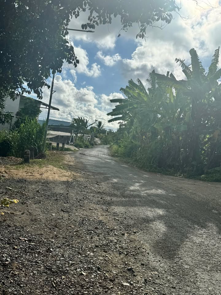 Nhà cấp 4 mặt tiền Trần Văn Dõng, 135m² giá 500 triệu - Cơ hội đầu tư hấp dẫn!