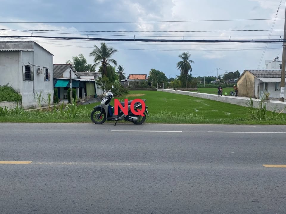 Đất nền 483m² tại Quốc lộ 50, Thạnh Trị, Gò Công Tây - Giá chỉ 2.5 tỷ, thương lượng!