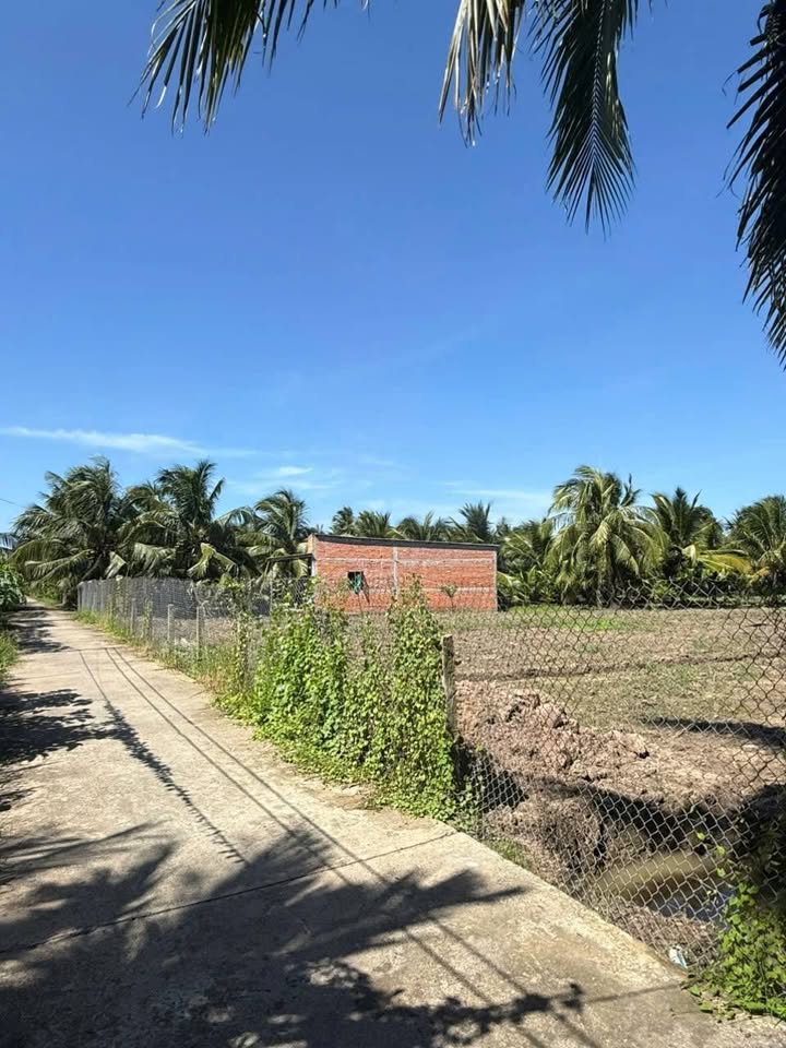 Đất mặt tiền Lương Phú C, Chợ Gạo, 2500m² giá 1.75 tỷ - Cơ hội đầu tư hấp dẫn!