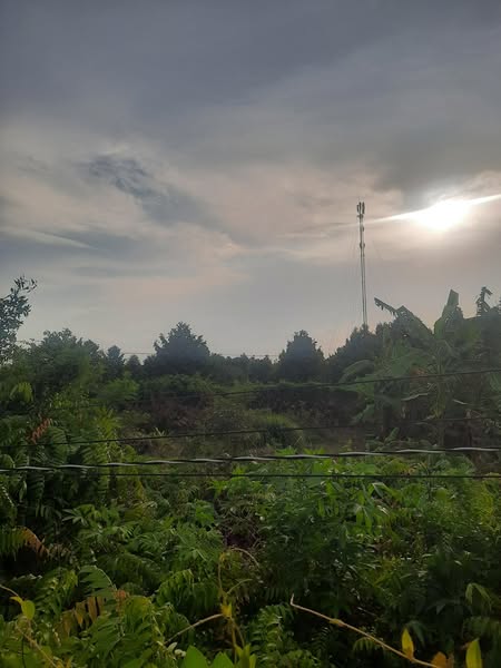 Đất vườn Tiền Giang 460m² giá 1.95 tỷ - Tiềm năng đầu tư lớn!