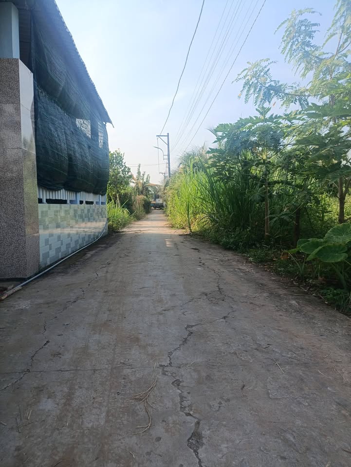 Đất nền Tân Hương, Châu Thành, Tiền Giang 111m² giá 470 triệu - Chính chủ bán gấp!