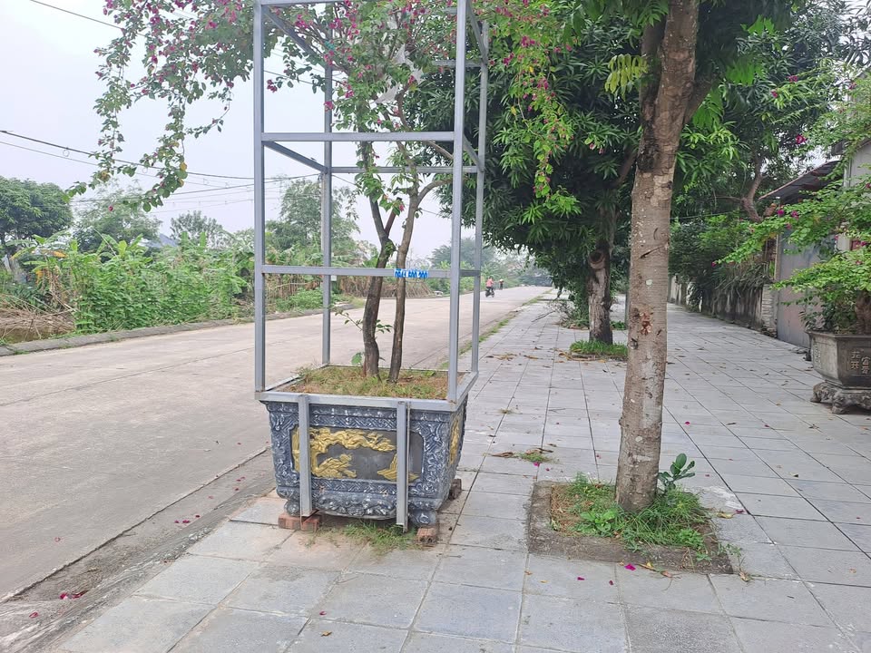 Lô đất Ninh Khánh 48m² giá chỉ 3 tỷ - Đầu tư tiềm năng tăng giá cao!