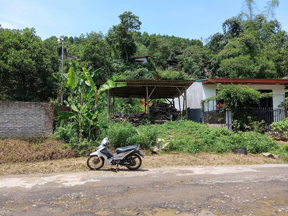 Đất thổ cư 250m² tại Đồng Tuyển, Lào Cai - Giá chỉ 2 tỷ, vị trí đắc địa!