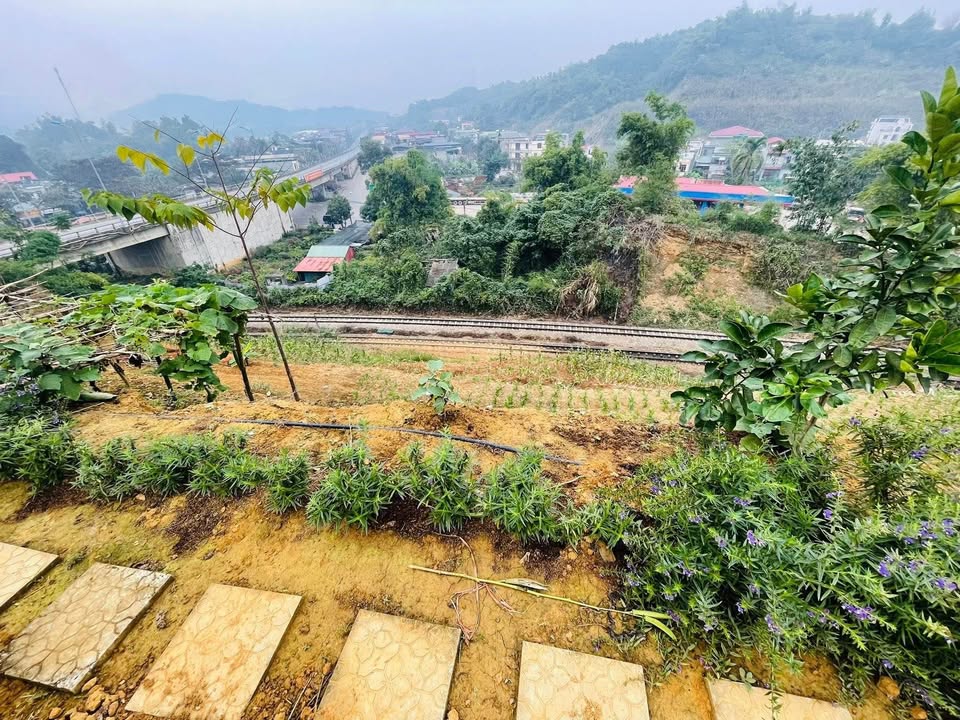 Trang trại siêu VIP tại Thôn Nhớn 2, Lào Cai 1089m² giá 1.89 tỷ - Đầu tư sinh lời ngay!