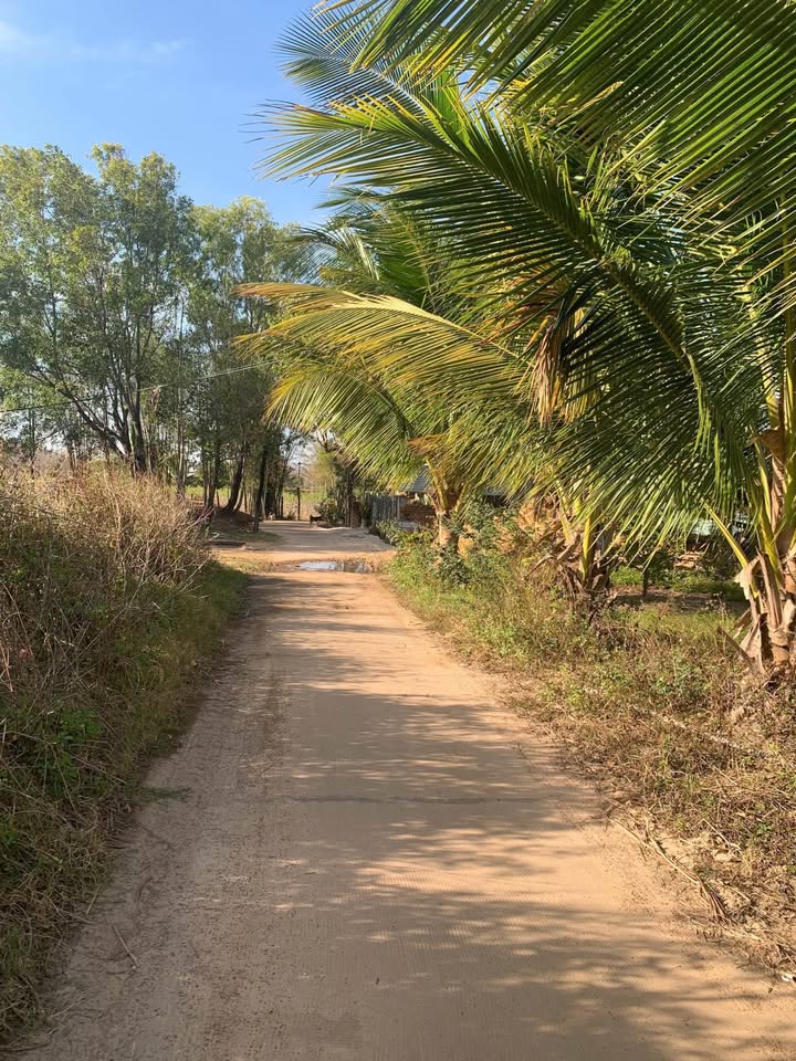 Đất thổ cư 570m² hẻm Ngô Đức Đệ, xã Hòa Bình, giá chỉ 600 triệu - Cơ hội đầu tư tuyệt vời!