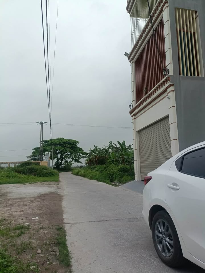 Đất nền Tân Bình - Thái Bình 90m² giá 1.3 tỷ - Tiềm năng phát triển vượt trội!