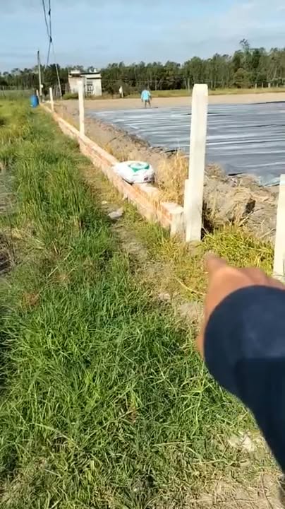 Đất thổ cư ấp Rừng Dầu, Đức Hòa 240m² giá 1.1 tỷ - Đầu tư sinh lời!