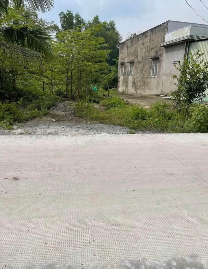 Đất thổ cư mặt tiền đường Lộ Làng, 528m² giá 2.7 tỷ - Cơ hội đầu tư hấp dẫn!