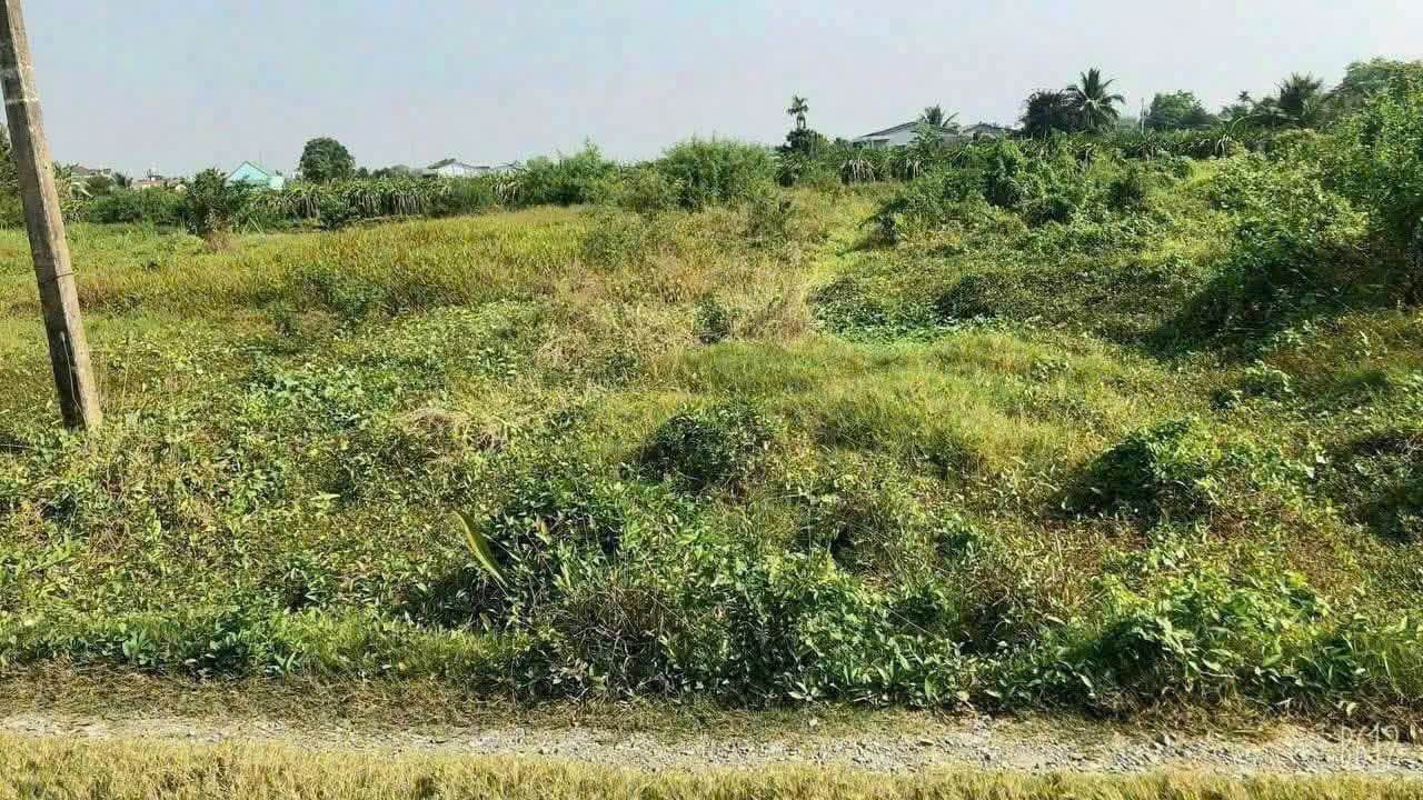 Đất thổ cư và lúa Hòa Phú, Châu Thành 1712m² giá 3.6 tỷ - Cơ hội đầu tư tuyệt vời!