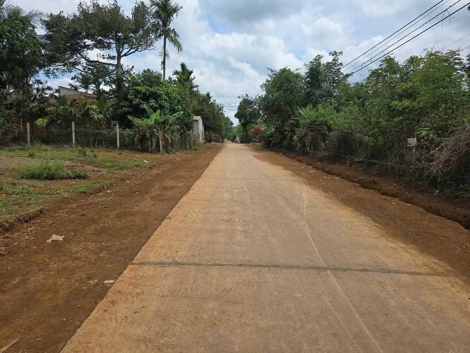 Đất nền Hoà Đông, Krông Pắc 115m² giá chỉ 565 triệu - Cơ hội đầu tư tuyệt vời!