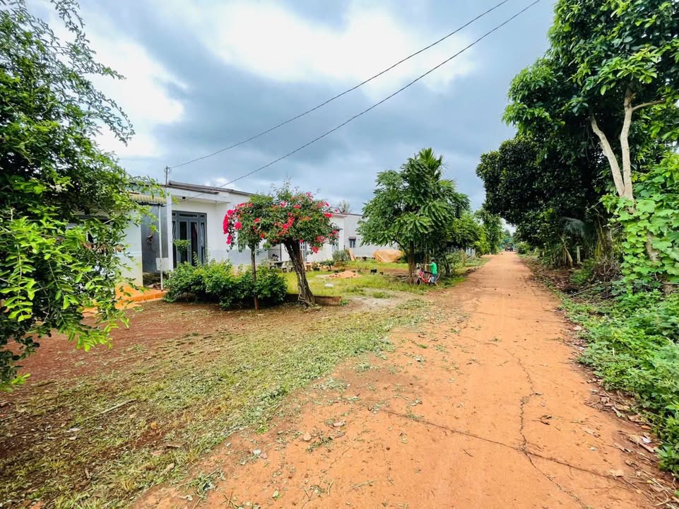 Lô đất Cư Suê 125m² giá 399 triệu - Cơ hội đầu tư tuyệt vời!