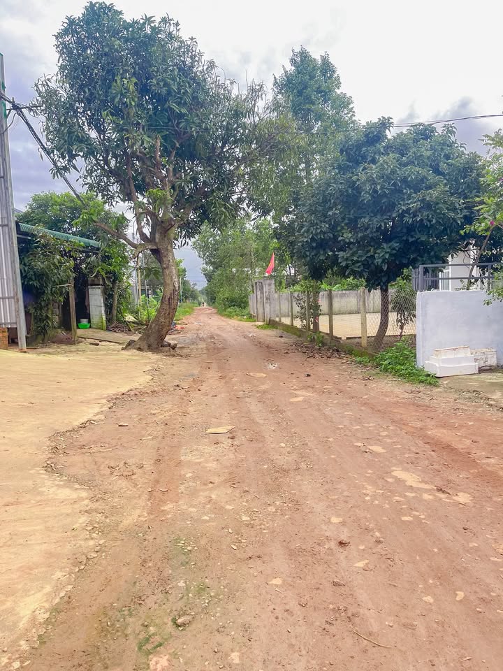 Đất nền tại Ủy ban Cư Ni, Ea Kar 125m² chỉ 400 triệu - Đầu tư sinh lời ngay!