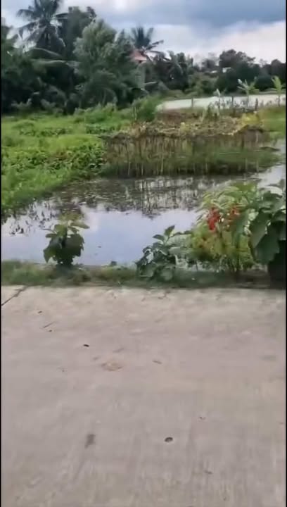 Đất nền 192m² tại Ấp Láng Biển, Cai Lậy - Giá chỉ 260 triệu!