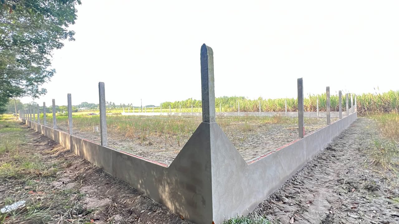 Đất nền đẹp 1.000m² tại Phước Thạnh, Tây Ninh - Giá chỉ 1.38 tỷ!