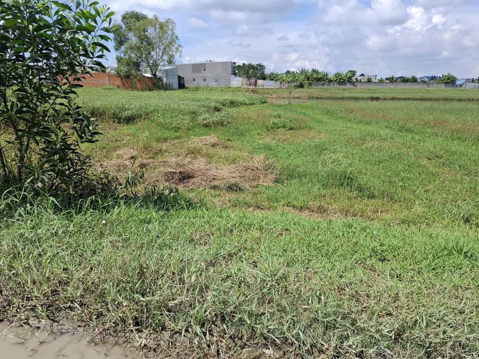 Đất lúa 850m² tại xã Đức Hòa Thượng, giá chỉ 1.7 tỷ - Sổ hồng chính chủ!