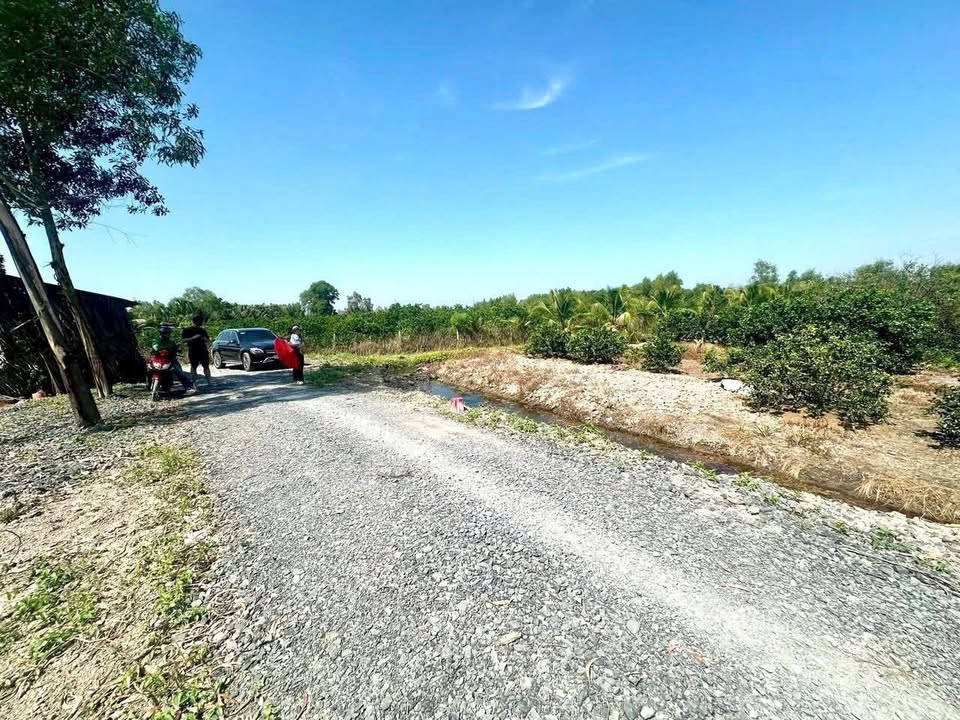 Đất nền 500m² tại Bến Lức, Long An giá chỉ 450 triệu - Sổ hồng chính chủ!