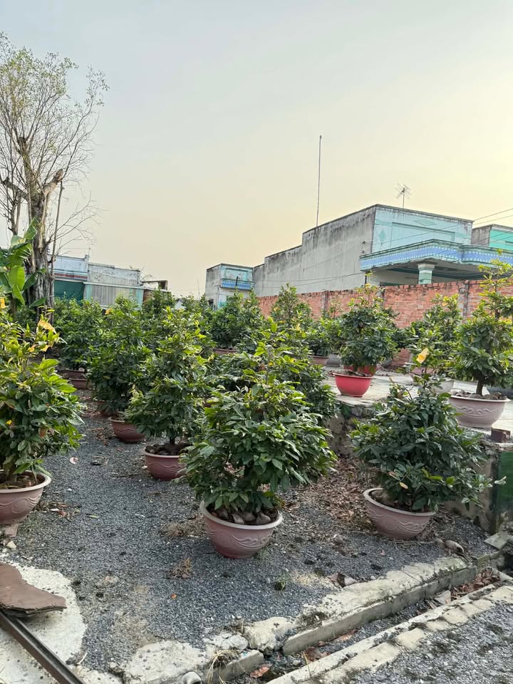 Đất nền Đức Hòa Hạ 1484m² giá 12.5 tỷ - Đầu tư sinh lời ngay!