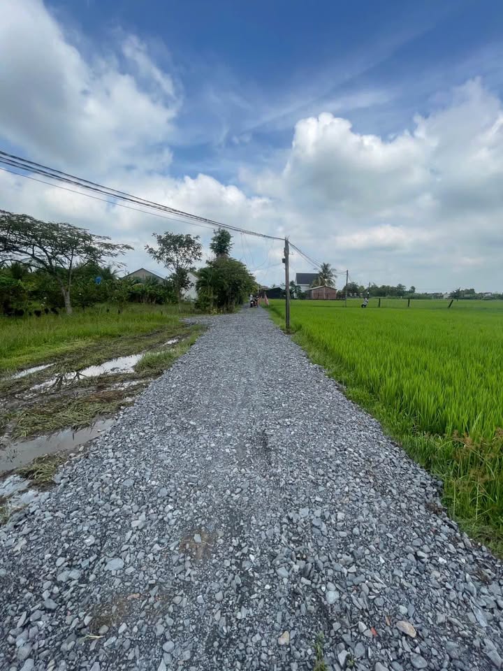 Đất nền Đức Hòa Thượng 105m² giá 550 triệu - Đầu tư sinh lời ngay!