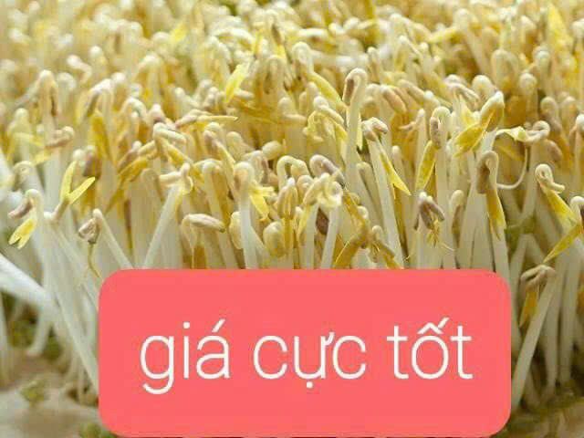 Đất nền Củ Chi 168m² - Kề chợ Tân Phú Trung, Giá thỏa thuận hấp dẫn!