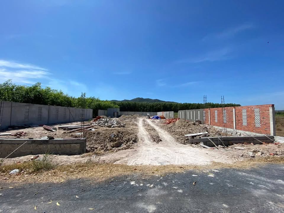 Đất nền Phước Hải, Bà Rịa - Vũng Tàu 1124m² giá 4.9 tỷ - Gần biển tuyệt đẹp!