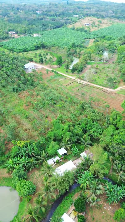 Đất Sào Bàu Lâm, Xuyên Mộc 7000m² giá 4.3 tỷ - View suối tuyệt đẹp!