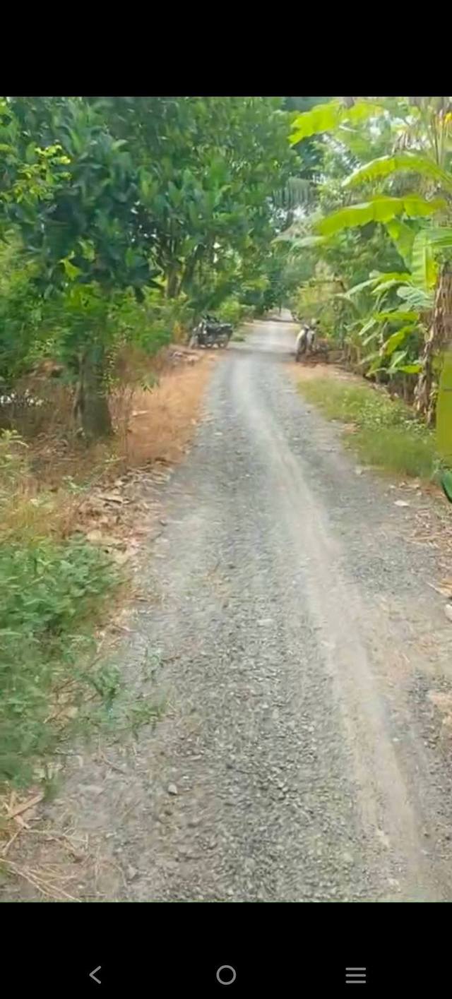 Đất ruộng 5.1 công tại Nhơn Ninh, Tân Thạnh - Giá chỉ 280 triệu/công, đường xe hơi tới nơi!