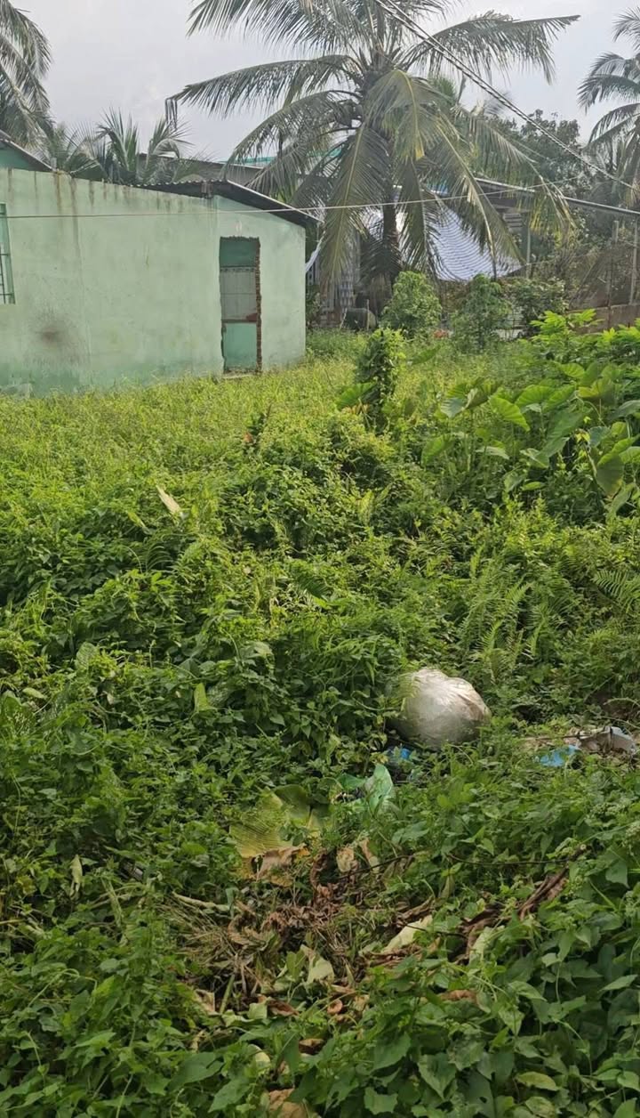 Đất nền 2 nền liền kề tại xã Thanh Hòa - Giá chỉ 250 triệu/nền - Đầu tư sinh lời ngay!