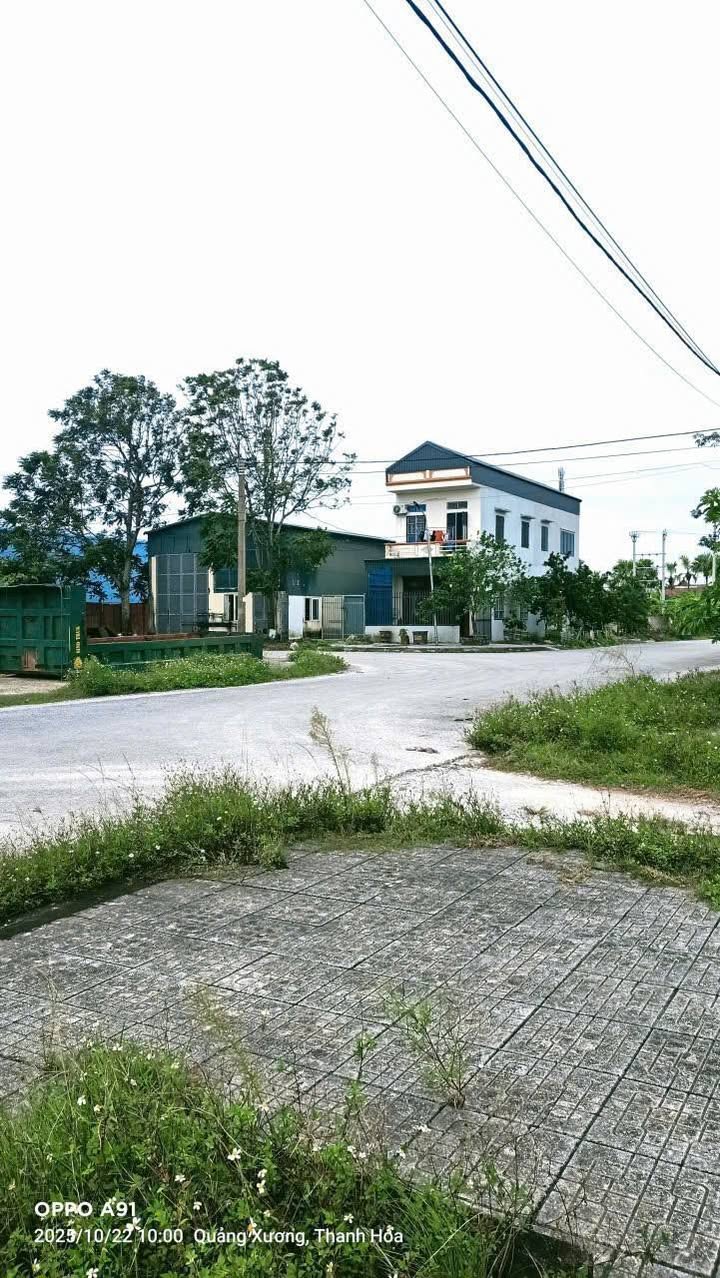 Mặt bằng 79m² tại Tân Phong, Quảng Xương chỉ 1,1 tỷ - Cơ hội đầu tư tuyệt vời!