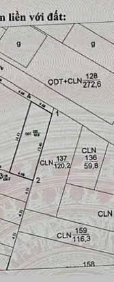 Đất Giếng Đáy Hạ Long 64m² giá 1 tỷ - Đường ô tô vào tận nơi!