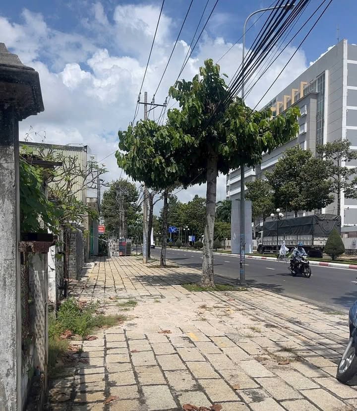 Đất mặt tiền Cách Mạng Tháng Tám, Bà Rịa 327m² giá 12.5 tỷ - Cơ hội đầu tư hấp dẫn!