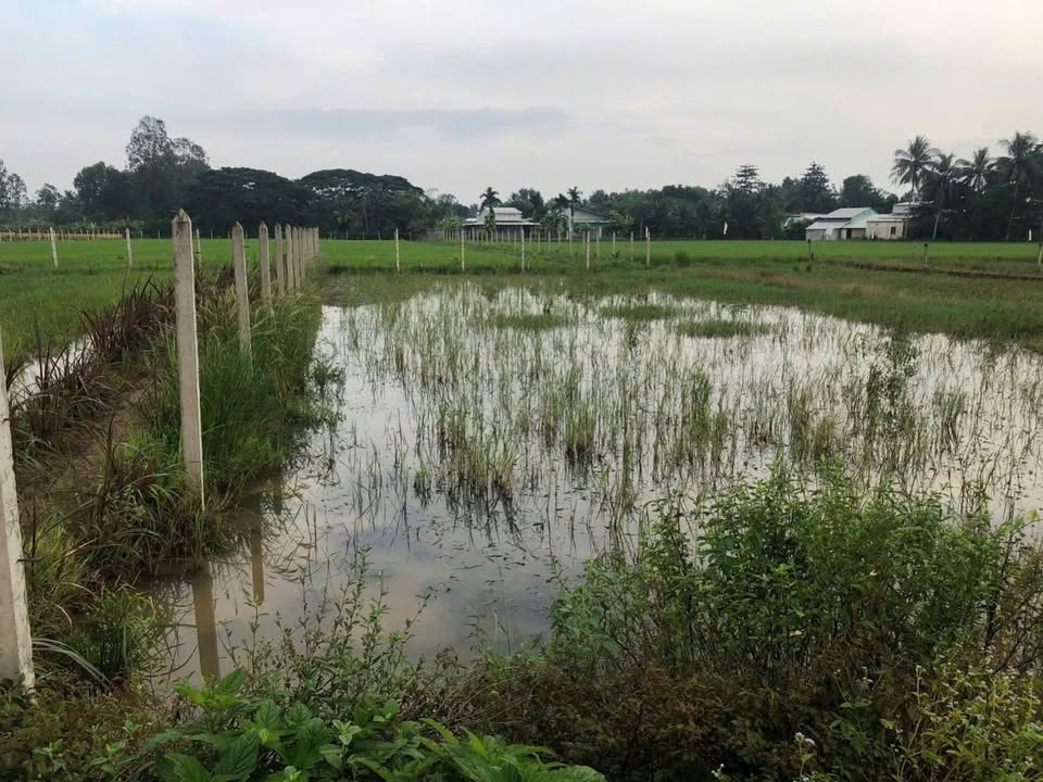 Đất mặt tiền hẻm 233 Nam Kỳ Khởi Nghĩa, Sóc Trăng 200m² - Sổ hồng đầy đủ!