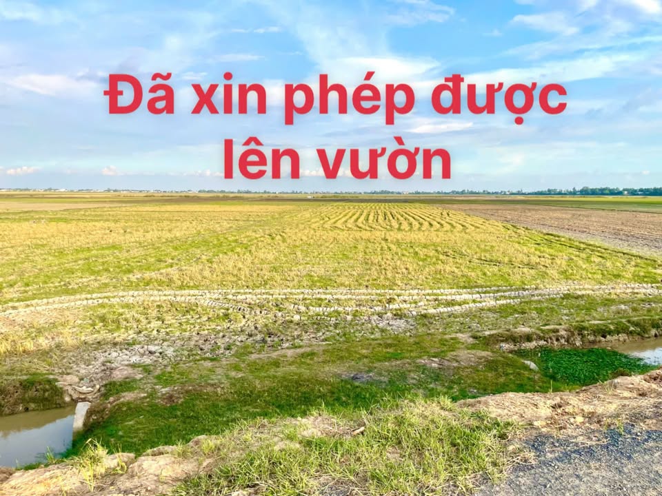 Đất Farm 15.400m² Tại Lộ 30, Bình Phú, Tân Hồng - Đầu Tư Sinh Lời!