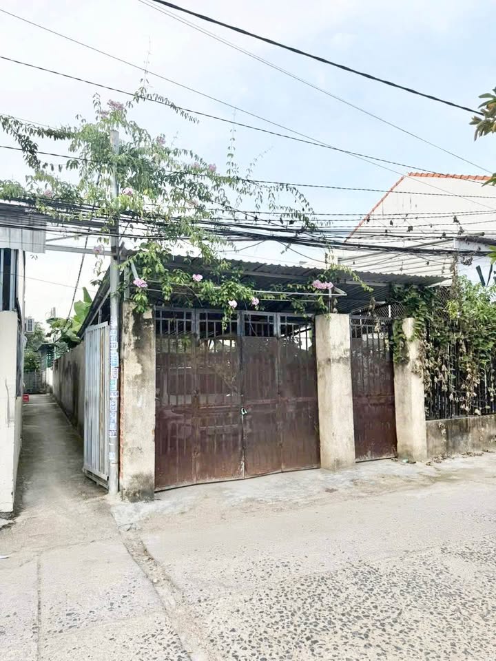 Đất mặt tiền La Văn Cầu, Phước Đồng 175m² giá 4.6 tỷ - Pháp lý rõ ràng!