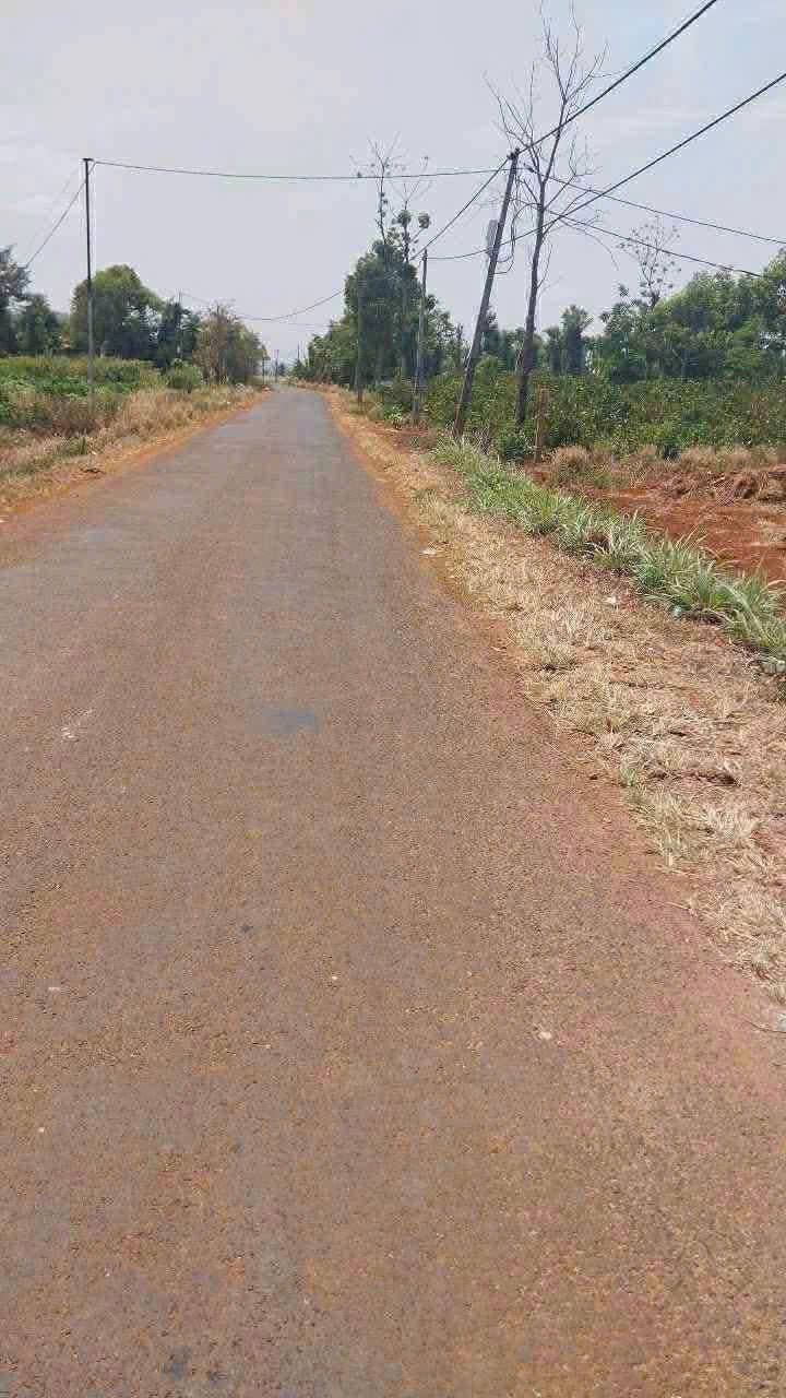 Lô đất Hòa Khánh 1928m² giá 1.7 tỷ - View suối mát mẻ, đầu tư sinh lời!