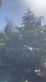 Đất nền 2.800m² tại xã Ea Ral, Đắk Lắk - Giá chỉ 840 triệu, thương lượng chính chủ!