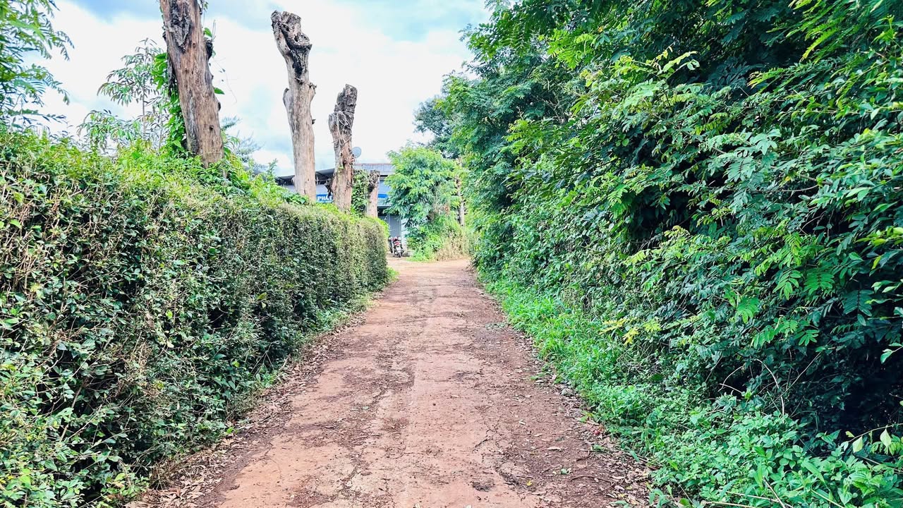 Bán lô đất Trần Quý Cáp, Buôn Ma Thuột 550m² giá 1.5 tỷ - Cơ hội đầu tư tuyệt vời!