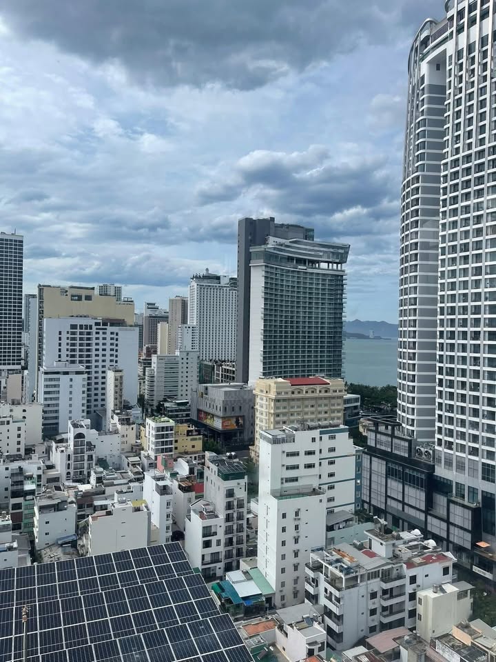 Đất nông nghiệp 54.948 m² tại Ninh Xuân, Ninh Hòa - Cơ hội đầu tư tuyệt vời!