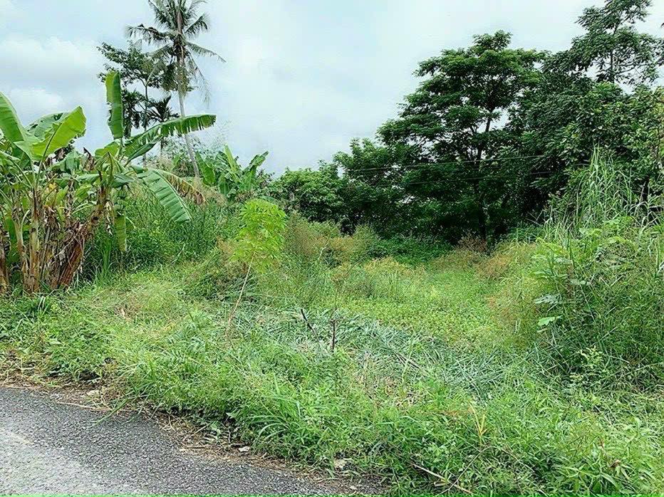 Đất nền thổ cư mặt tiền đường Vàm Bi, Trường Long 114.4m² giá 690 triệu - Cơ hội đầu tư sinh lời!