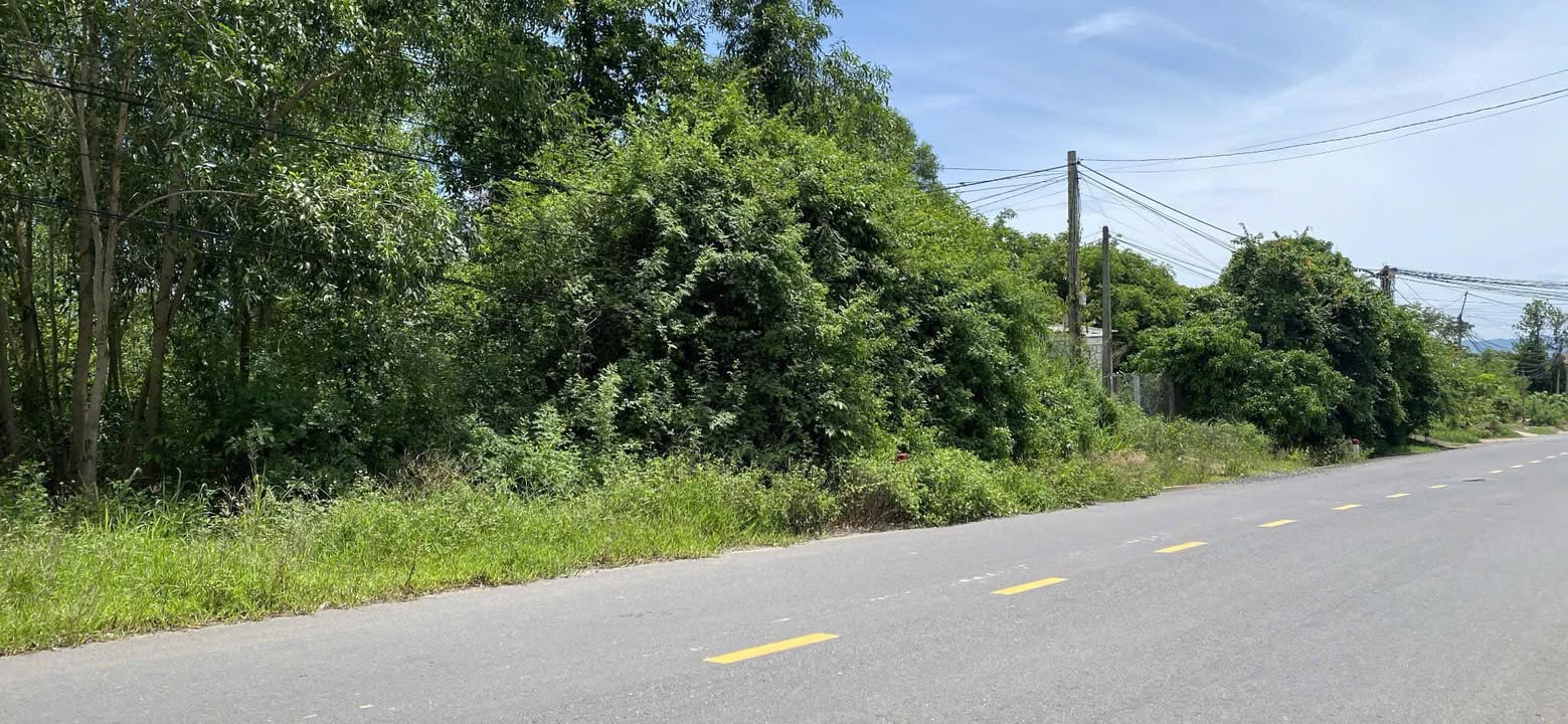 Đất mặt tiền Tỉnh Lộ 5, Ninh Hòa 284m² giá 800 triệu - Cơ hội đầu tư hiếm có!