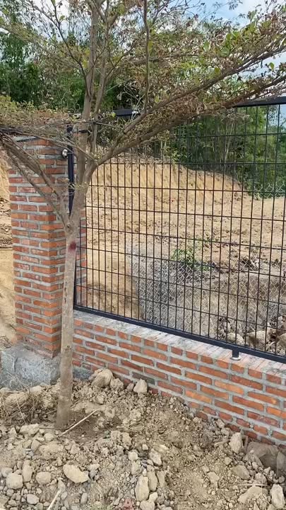 Farm Ninh Thượng Ninh Hòa 7167m² giá 2 tỷ - Không gian xanh hiếm có chờ đón bạn!