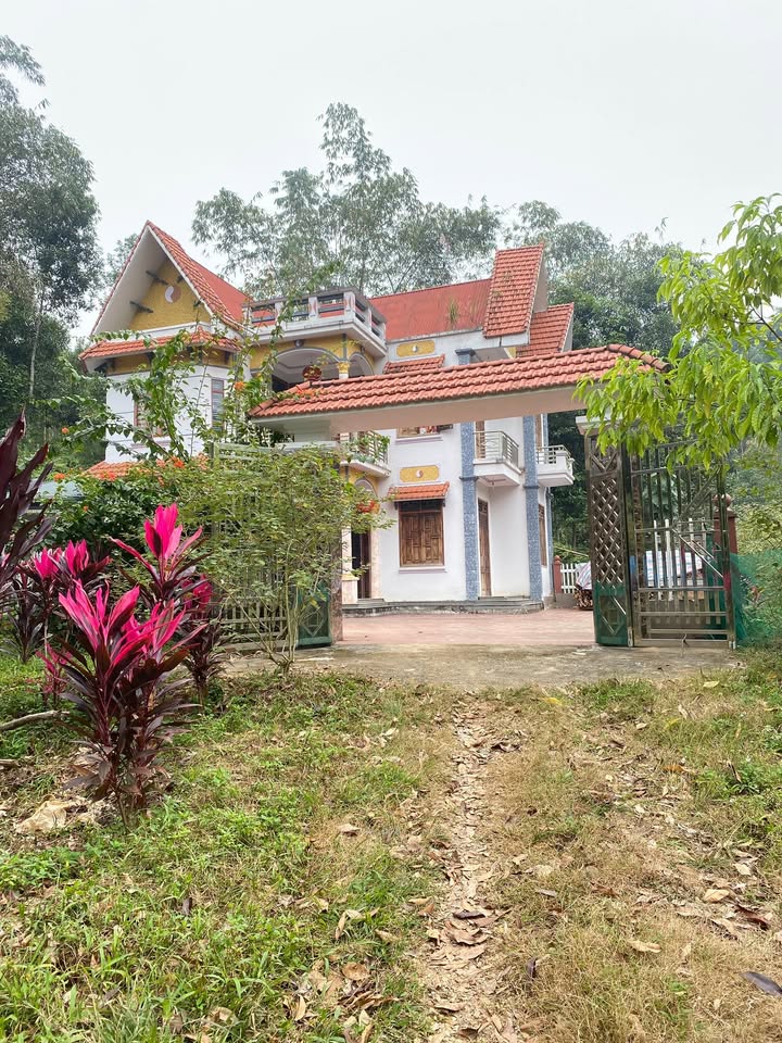 Trang trại nhà vườn tại Phong Hải, Bảo Thắng, Lào Cai 4 Ha - Sẵn sàng vào ở ngay!