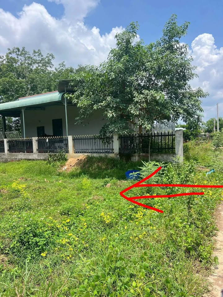 Đất nền xã Tân Lợi, Hớn Quản 8000m² giá 600 triệu - Cơ hội đầu tư hấp dẫn!